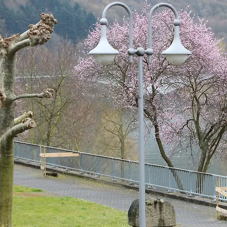 Haus Brandenburg An Der Mosel Lejlighed Zell