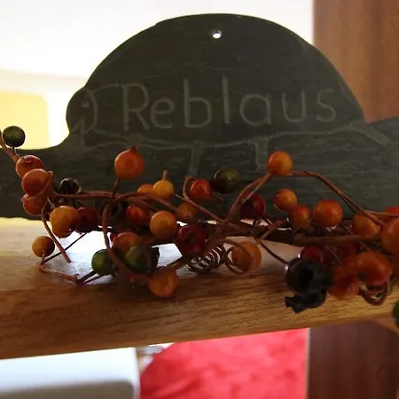 Haus Brandenburg An Der Mosel * Zell