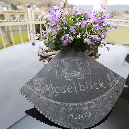 Haus Brandenburg An Der Mosel