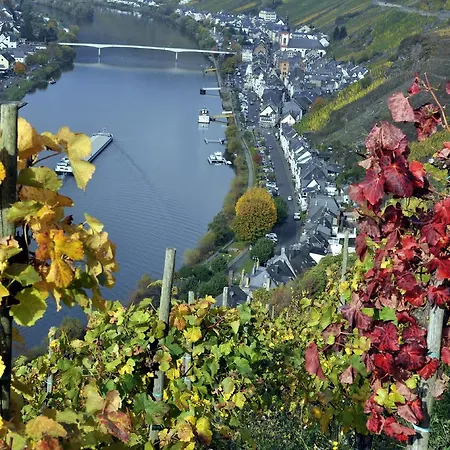 Haus Brandenburg An Der Mosel Appartement Zell