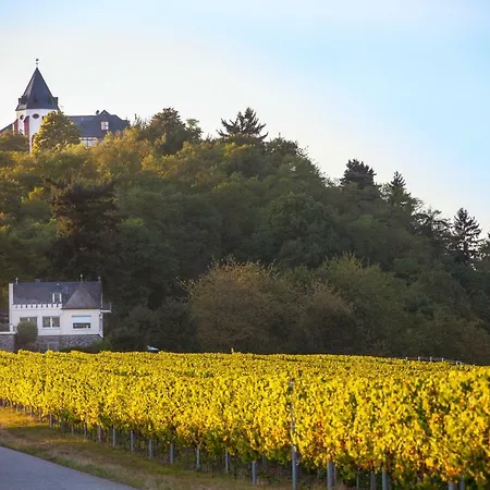 Haus Brandenburg An Der Mosel Zell an der Mosel