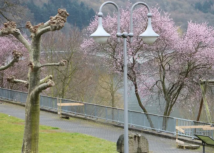 Haus Brandenburg An Der Mosel Daire Zell an der Mosel