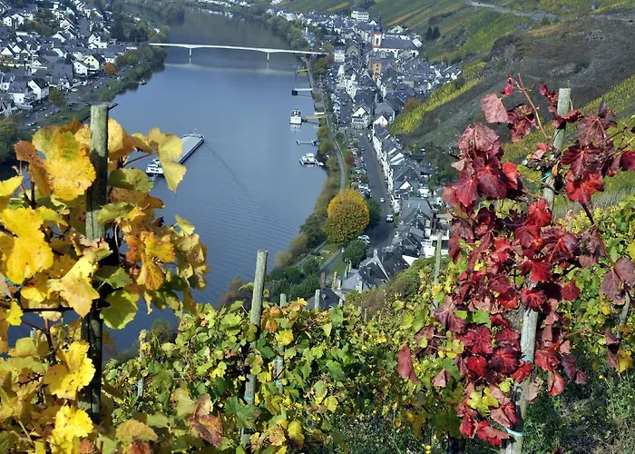 Haus Brandenburg An Der Mosel 아파트 첼 안 데어 모젤