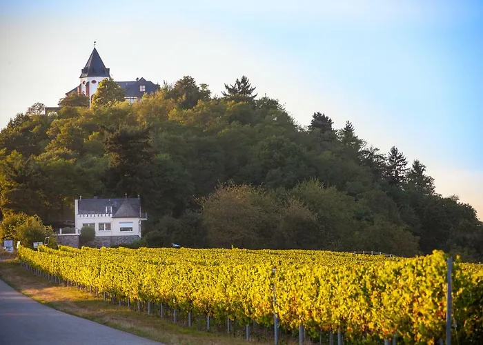 Haus Brandenburg An Der Mosel Zell an der Mosel