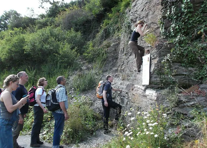 Haus Brandenburg An Der Mosel